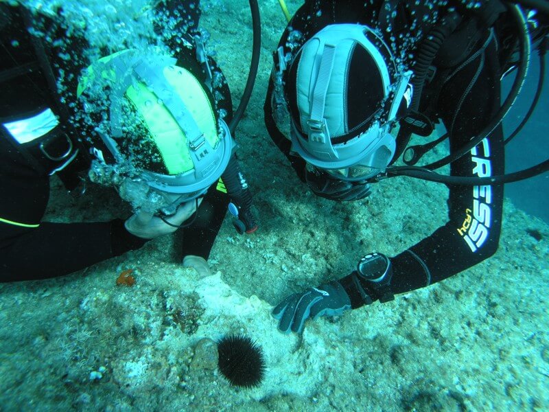L’ittiologo: tra ambiente e ricerca molte opportunità di lavoro