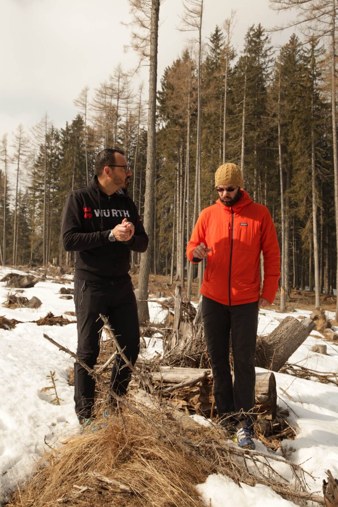 Nasce la foresta di Würth per sostenere la crescita di alberi in Val di Fiemme
