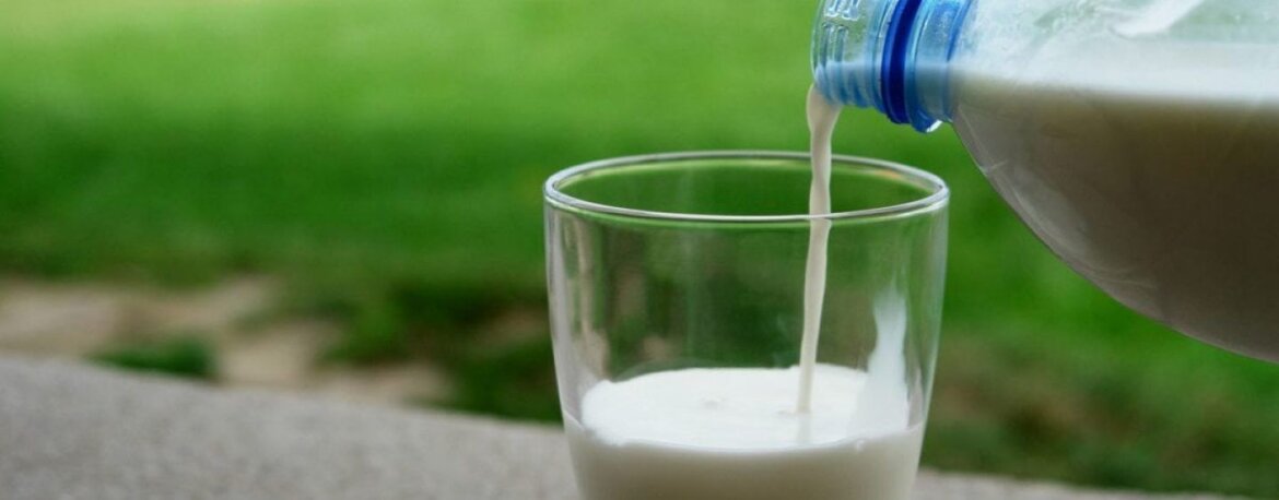 Coronavirus, Coldiretti lancia l’allarme: 5,7 milioni di litri di latte al giorno dall’estero