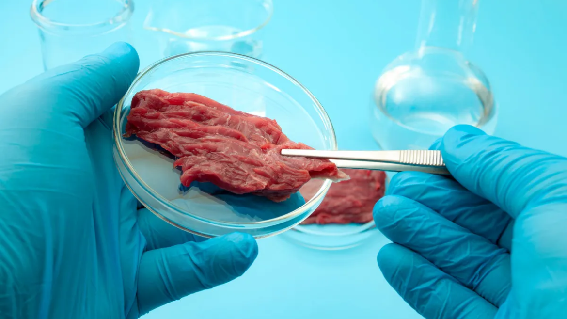 Carne, latte e pure il sushi: gli italiani il cibo in provetta non lo vogliono