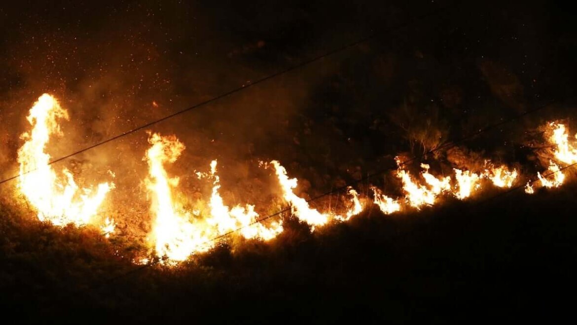 incendio Bosco incendiato