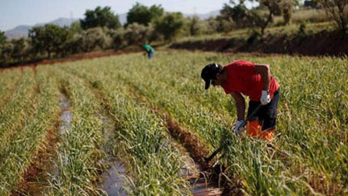 Uomo alle prese con il lavoro nei campi