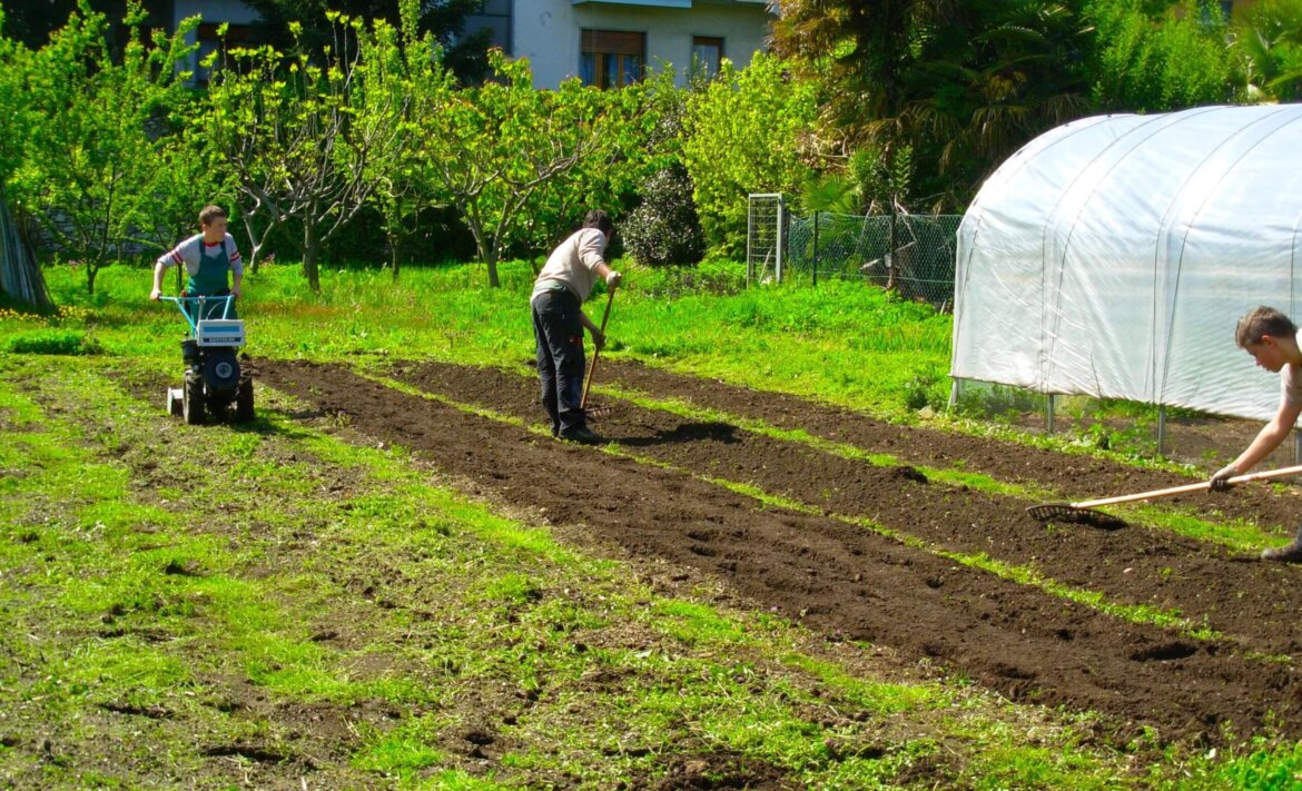 Coldiretti: bene la terra ai giovani, Italia leader in Ue