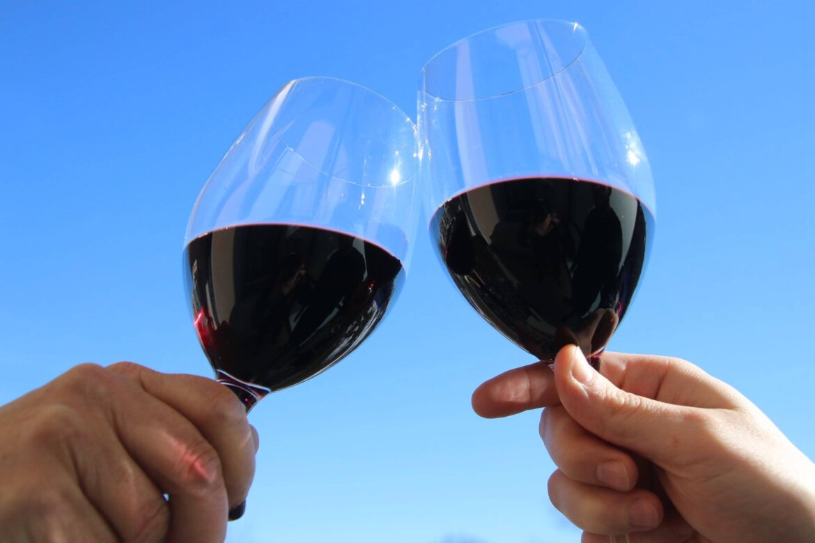 Brindisi tra due persone con calice di vino