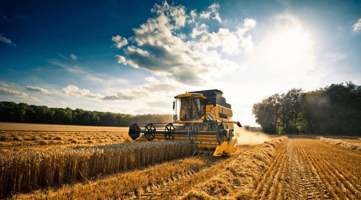 agricoltura Lavoro, Coldiretti: con +10,4% l’agricoltura batte tutti