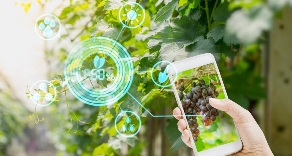 Supportare le aziende agricole nei principali mercati agricoli in maniera digitale