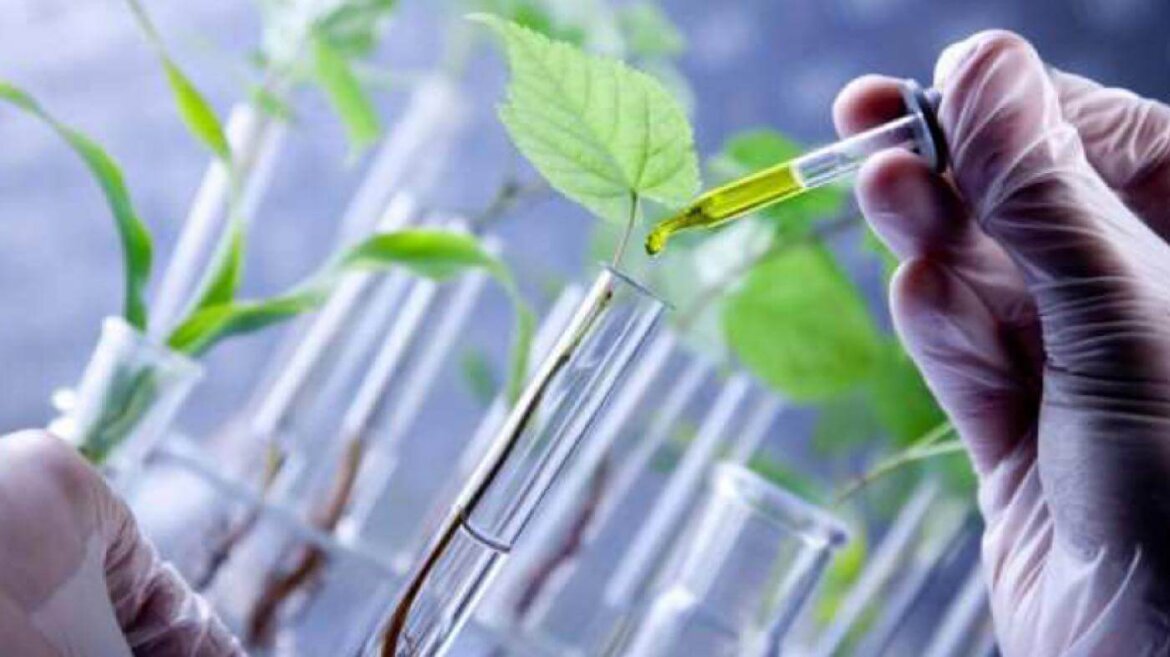 Liquido in provetta per studio su piante Liquido in provetta per studio su piante in una foto