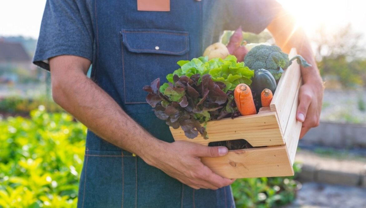 Dal 19 al 21 luglio prossimo Roma sarà sede del prevertice dell’ONU sui sistemi alimentari.