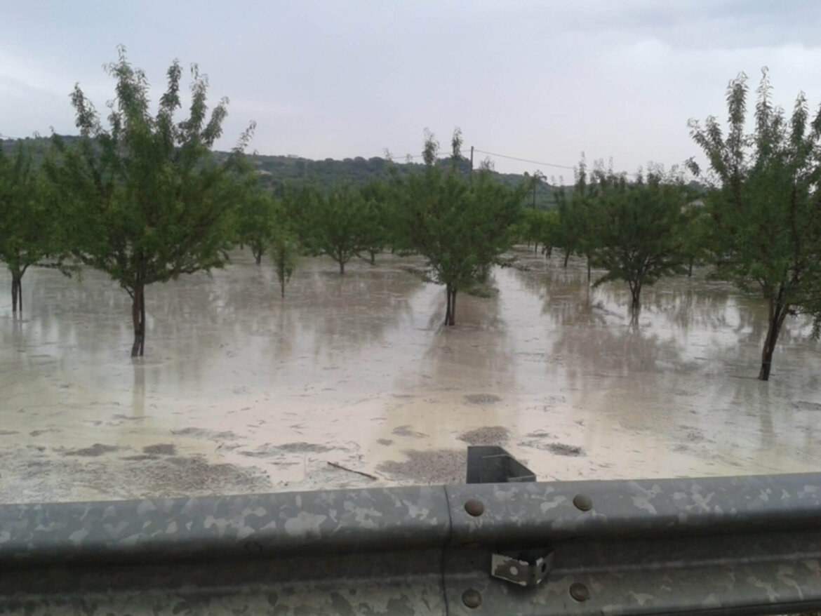 Maltempo, milioni di euro di danni nelle campagne