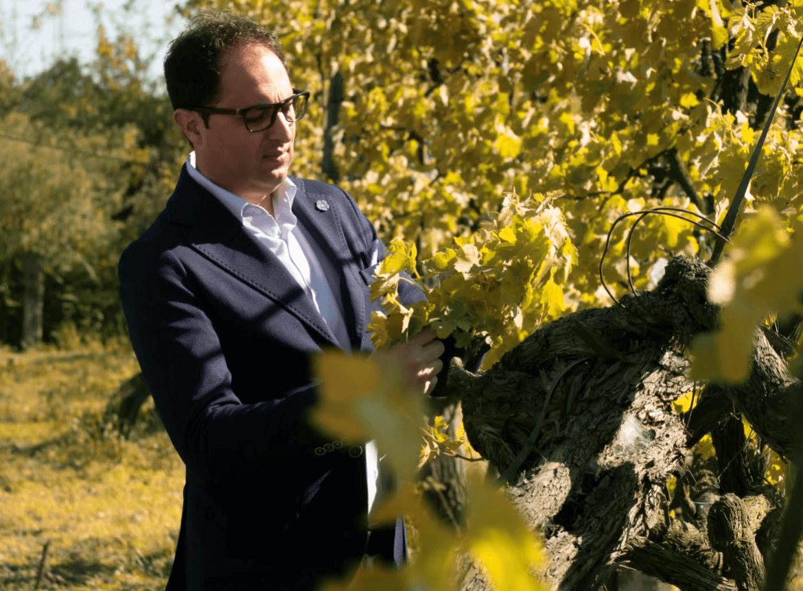 Drengot con le sue viti secolari racconta una storia familiare di sacrifici, passioni e ricordi