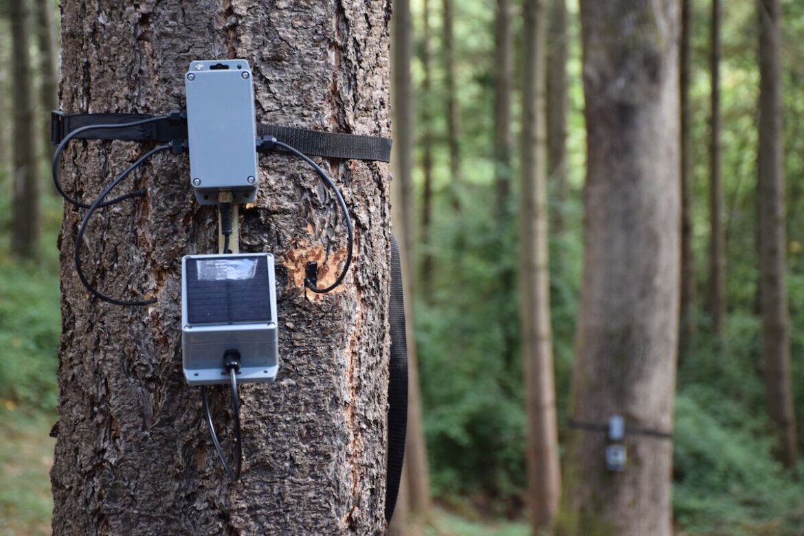 Earth day: cosa fanno le aziende di design per la salvaguardia del pianeta?