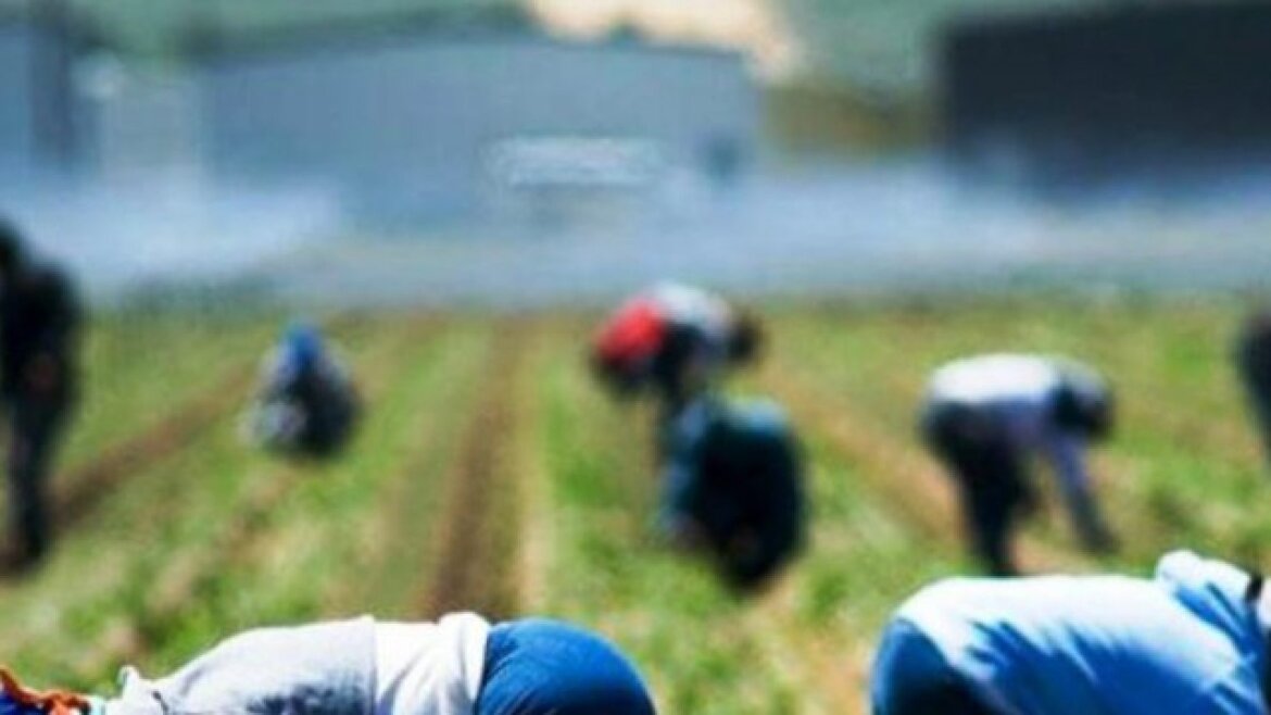 Persone al lavoro nei campi