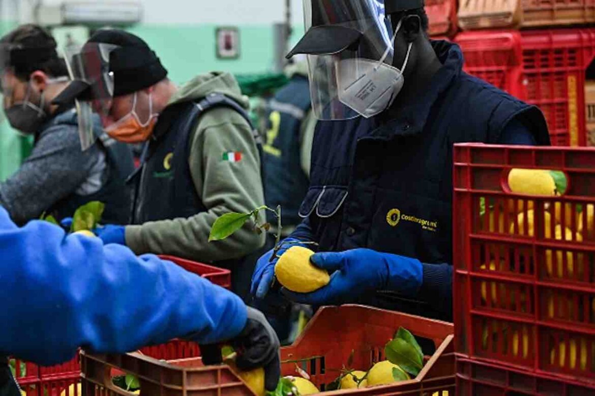 Controlli su distribuzione frutta