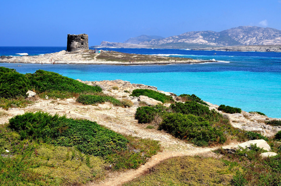 sardegna L’Economia della Regione Sardegna. Presentato il rapporto annuale del 2018