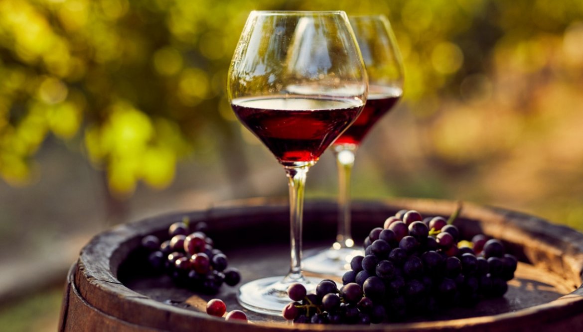 Associazioni vitivinicole contro la commissione Ue rivendicano l’importanza della viticoltura in Europa